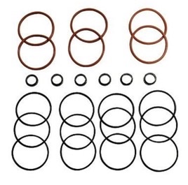 DET 60S INJ ORING KIT