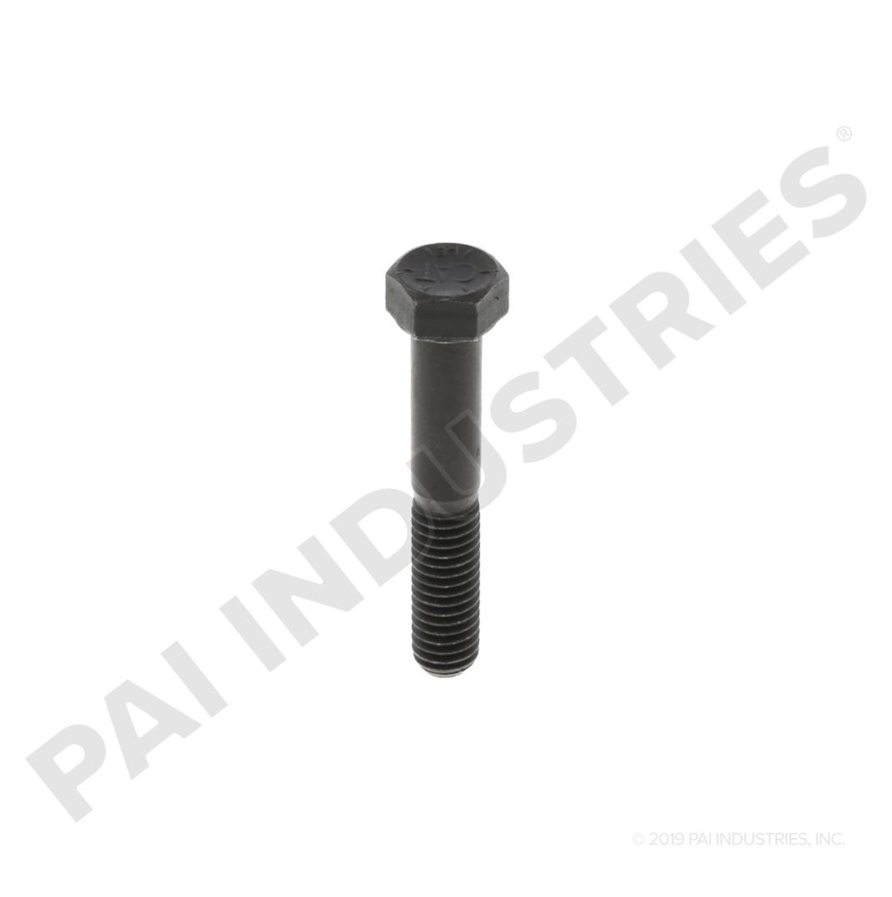 CAT SCREW