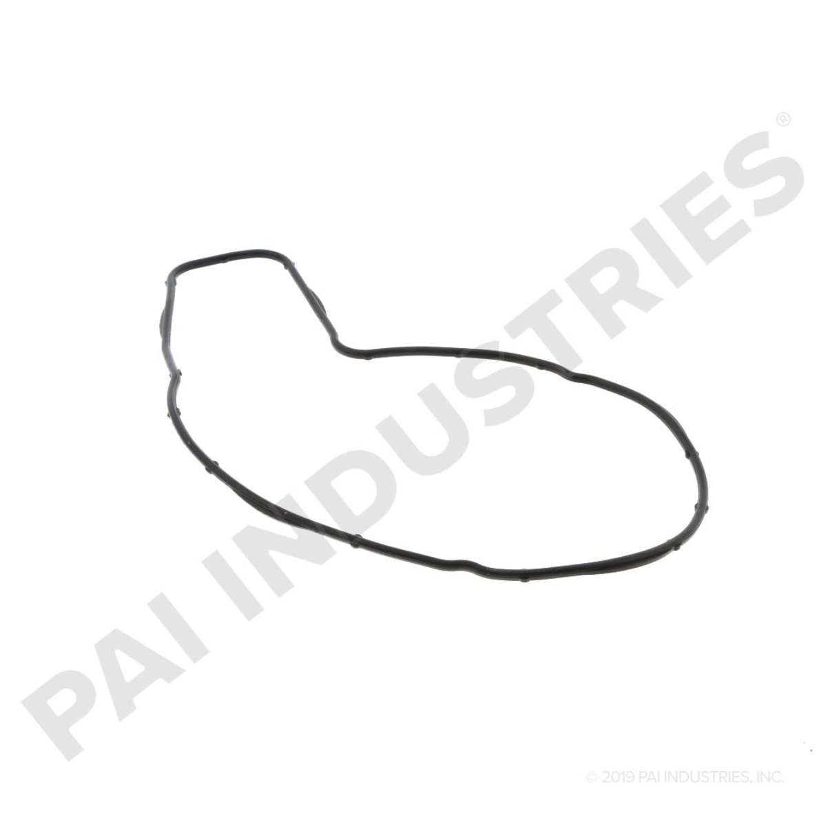 WATER PUMP GASKET