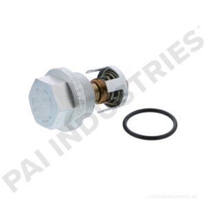 INTERNATIONAL TEMPERATURE VALVE KIT 481848